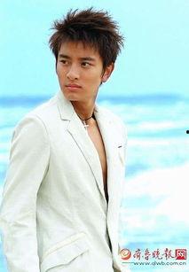 贾乃亮年龄资料,岁月如歌，青春不散