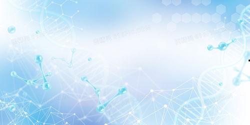 医学图片背景,揭示人体健康的秘密